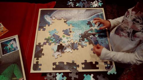 puzzle-1