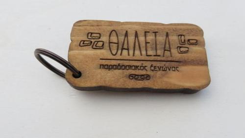 ΞΥΛΙΝΑΜΠΡΕΛΟΚ-6